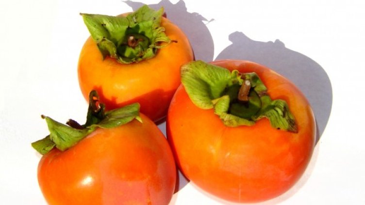 снимка: freeimages