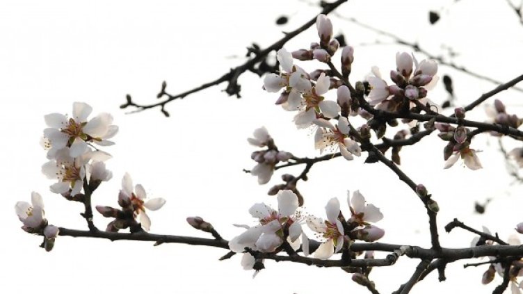 Снимка: Булфото, архив