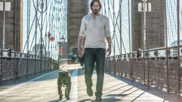 Снимка: Лента