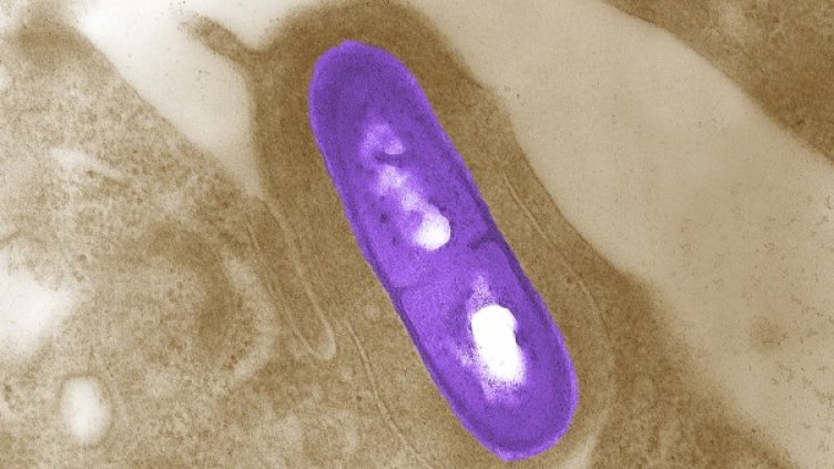 Снимка: архив, Reuters