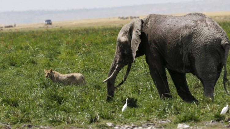Снимка: архив, Reuters