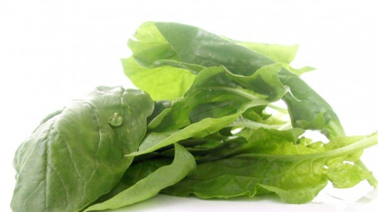 Снимка: freeimages