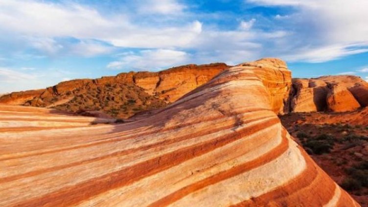 Снимка: Facebook/Arteide