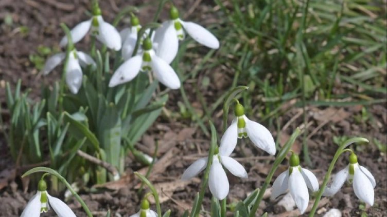 Снимка: Булфото, архив