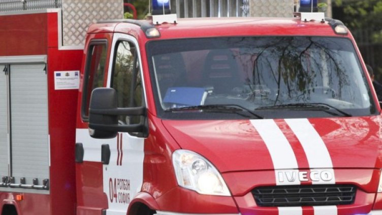 Снимка: архив Булфото