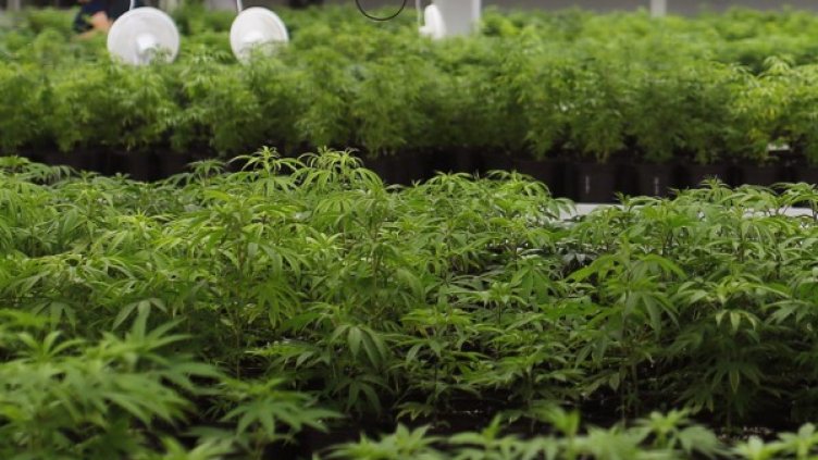 Снимка: архив Reuters