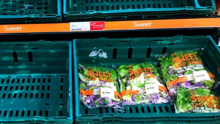 Снимка: архив Reuters