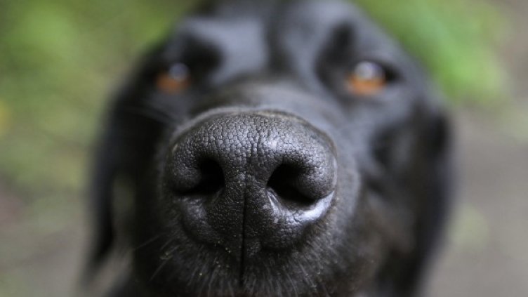 Снимка: Reuters, архив