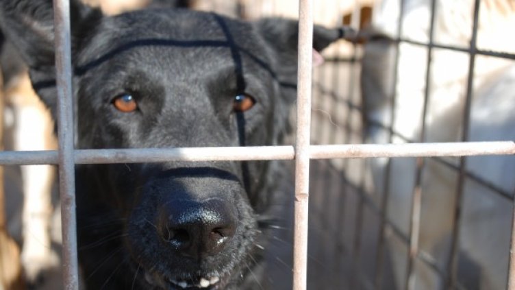 Снимка: Екоравновесие