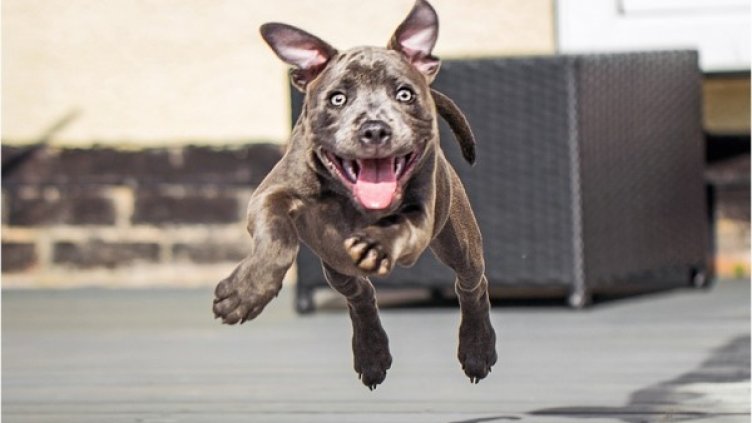 Снимка: flicker