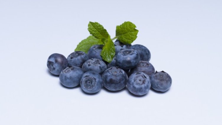 снимка: freeimages