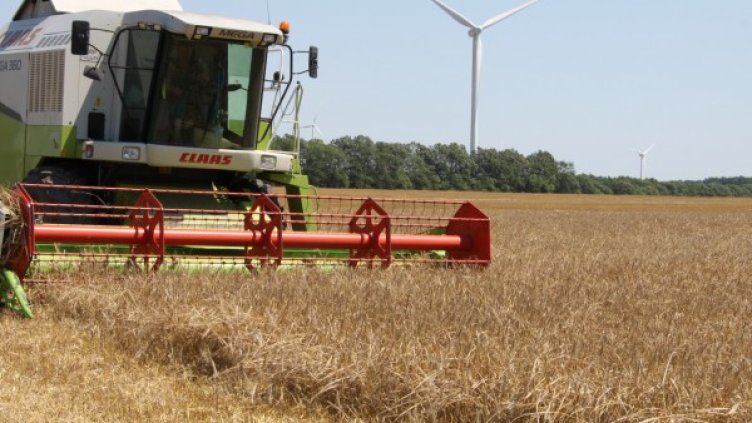 Снимка: Архив, БТА