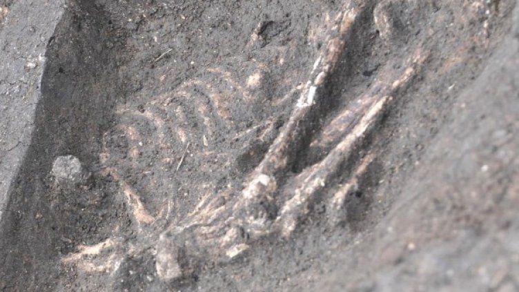 Снимка: Булфото, архив