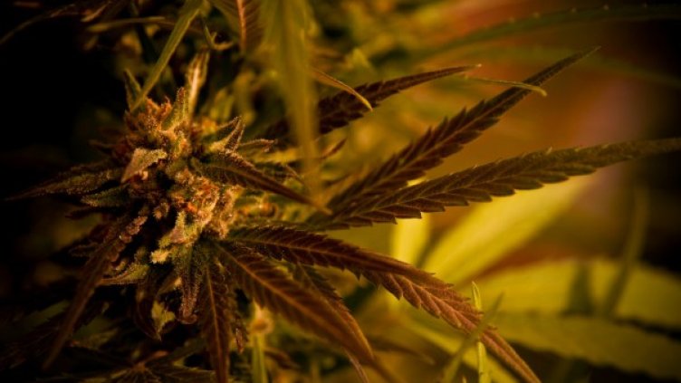 Снимка: Flickr.com