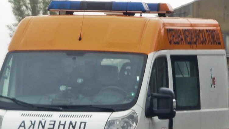 Снимка: Архив, Булфото