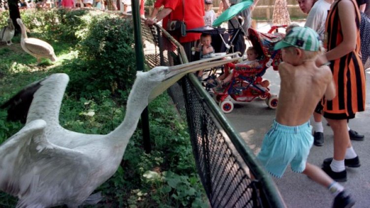 Снимка: Reuters