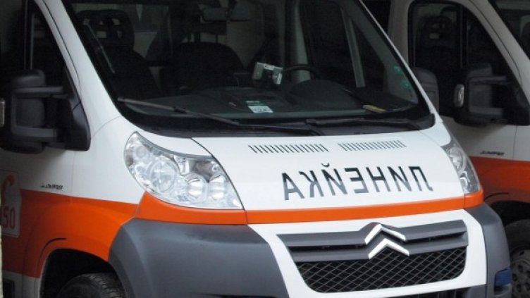 Снимка: архив, Булфото