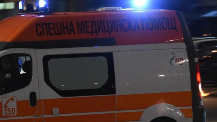 Снимка: Булфото