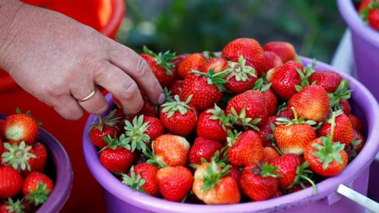 Снимка: архив, Reuters