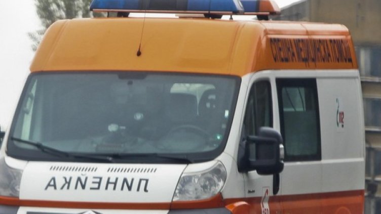 Снимка: Архив, Булфото