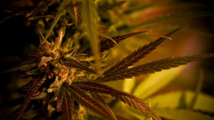 Снимка: Flickr.com