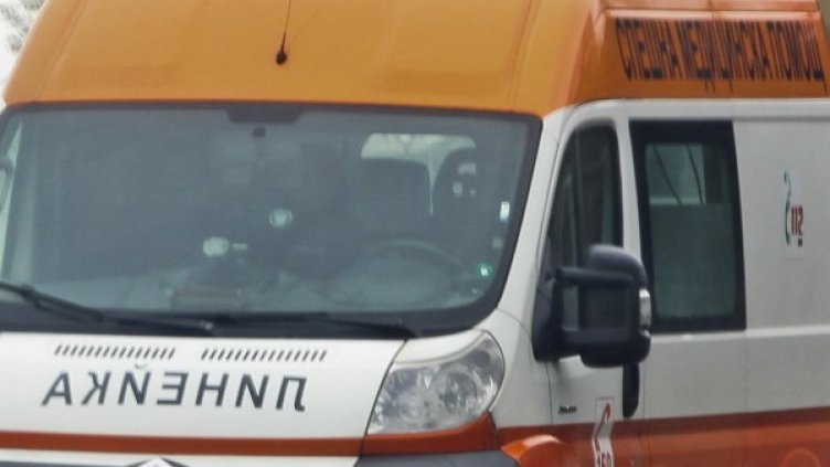 Снимка: Архив, Булфото