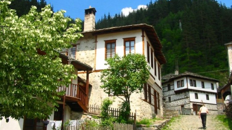 Архив: Булфото