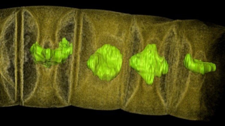 Снимка: Reuters