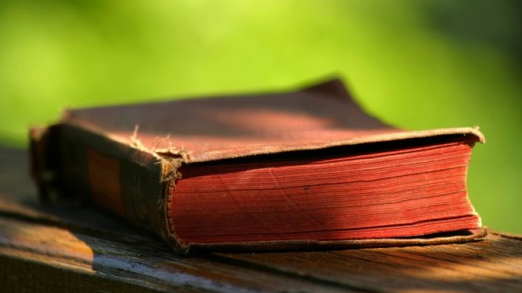 Снимка: freeimages