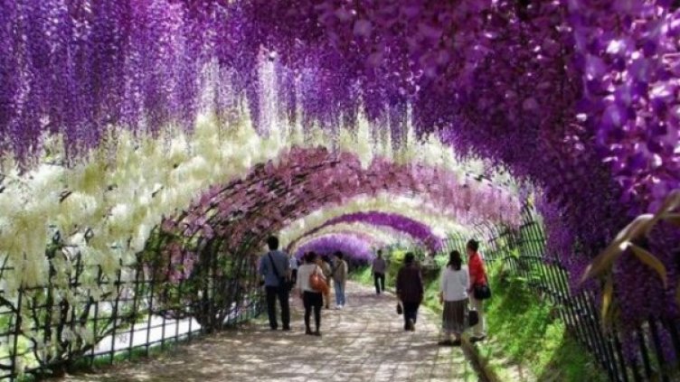 Снимка: instagram