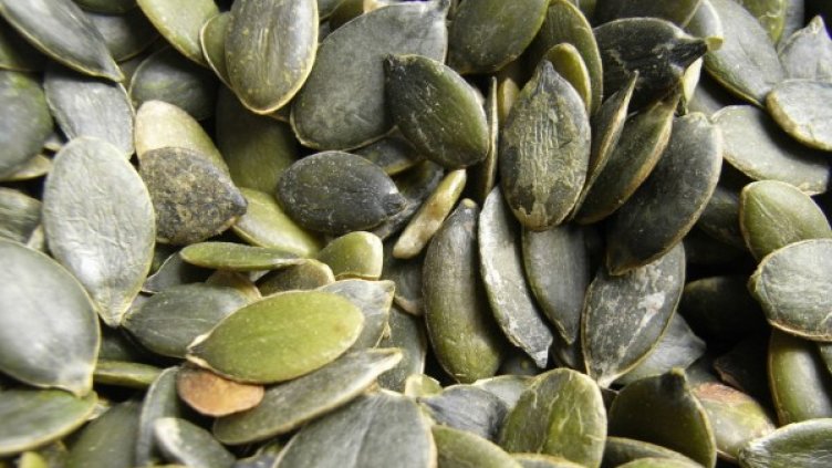 Снимка: freeimages