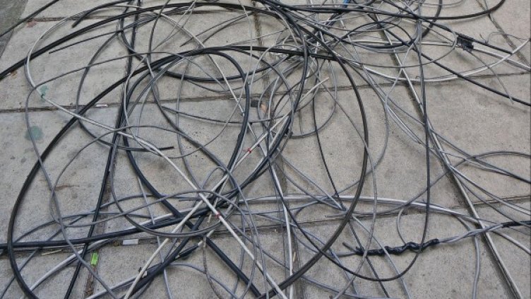 Снимка: Булфото