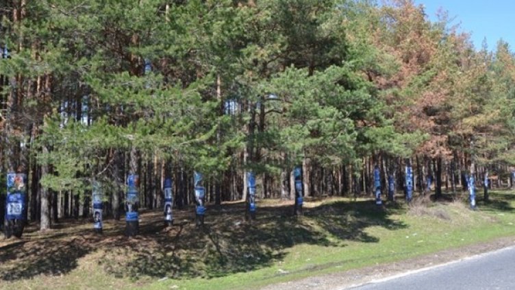 Снимка: "24 часа"