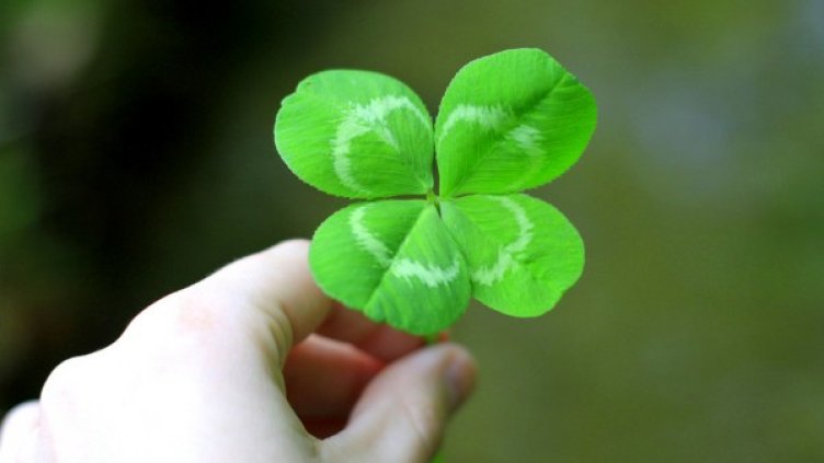 Снимка: flickr