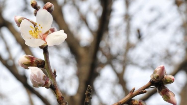 Снимка: архив, Bulphoto