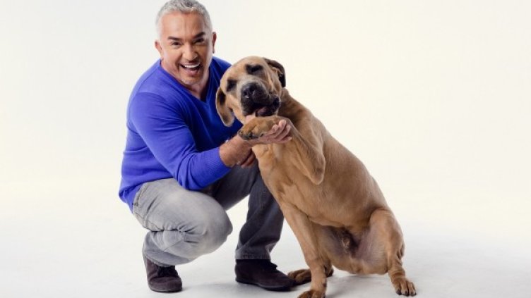 Снимка: Loud Concerts