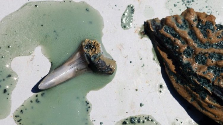 Снимка: архив, Reuters