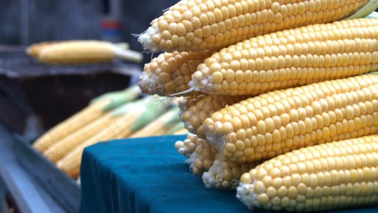 Снимка: freeimages