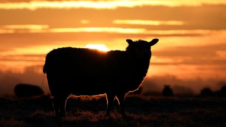 Снимка:  Reuters, архив