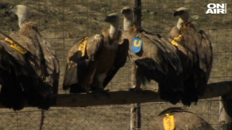 Снимка: bgonair.bg