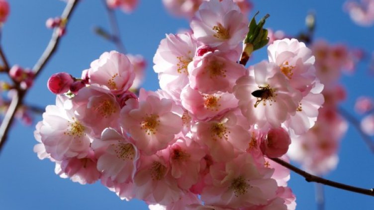 Снимка: Reuters, архив