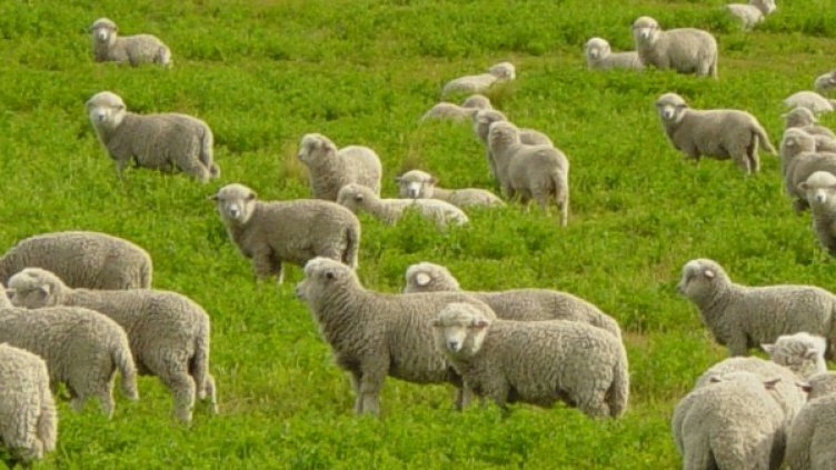 Снимка: архив, Булфото