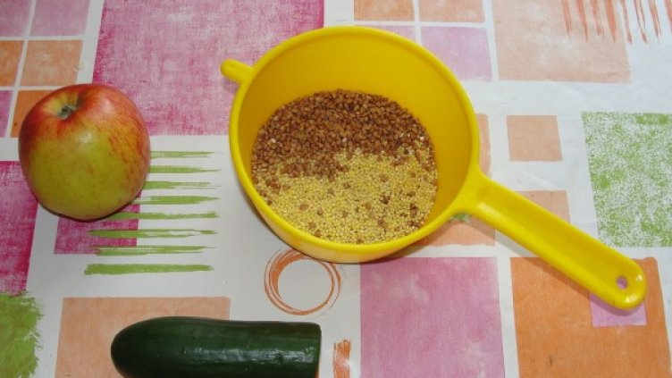 Снимка: freeimages