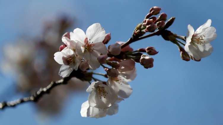 Снимка: архив, Reuters