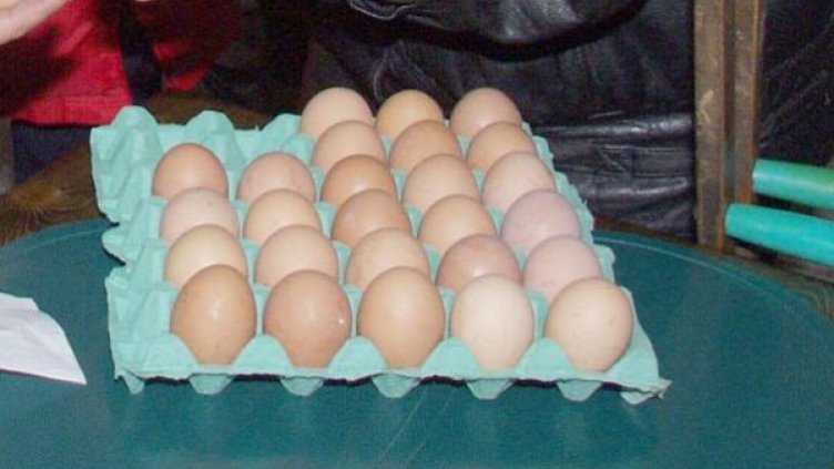 Снимка: архив, БулФото