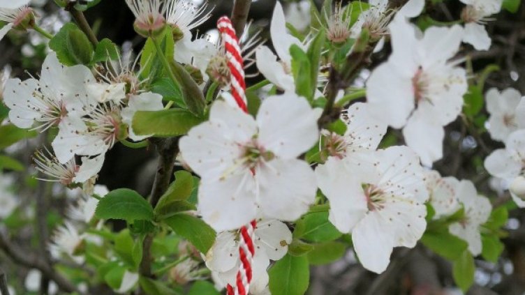 Архив: Булфото