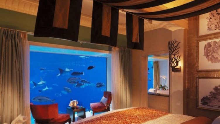 Снимка: My Modern Met