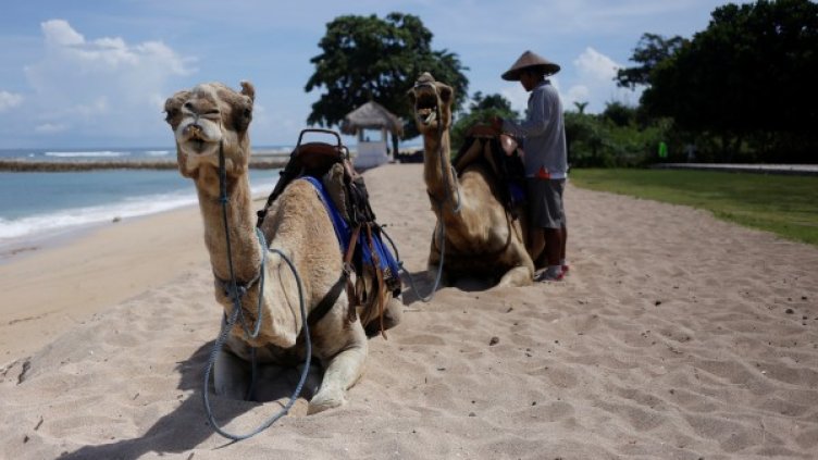 Снимка: Reuters