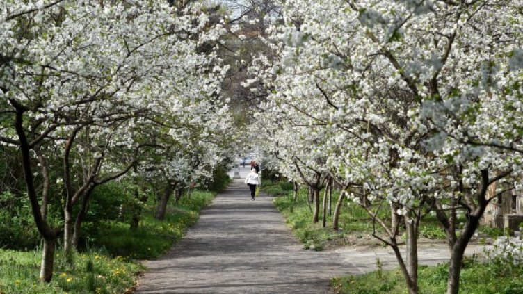 Снимка: архив Булфото