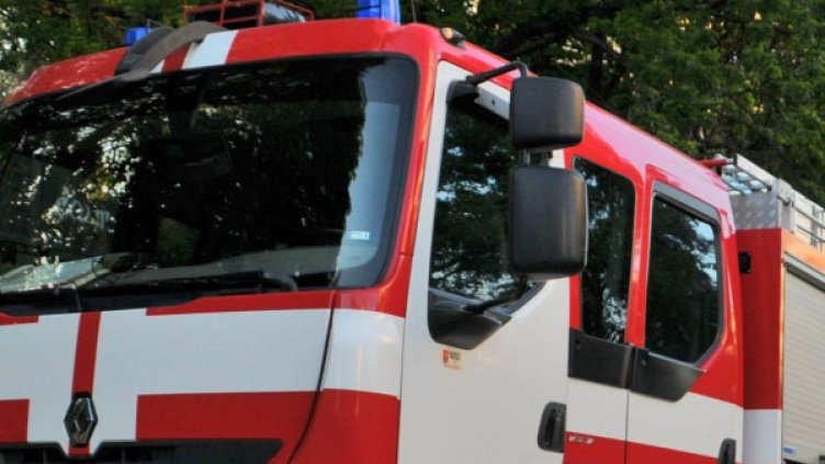 Снимка: Архив, Булфото